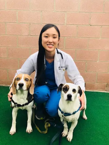Pet vet Temple City Animal Hospital Pasadena