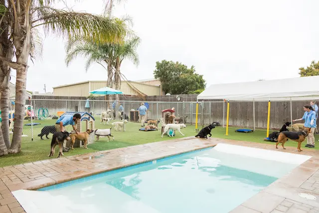 Dog breeder Dioji K-9 Resort & Athletic Club Santa Barbara