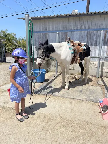 Dog day care center Imperial Equestrian Center South Gate