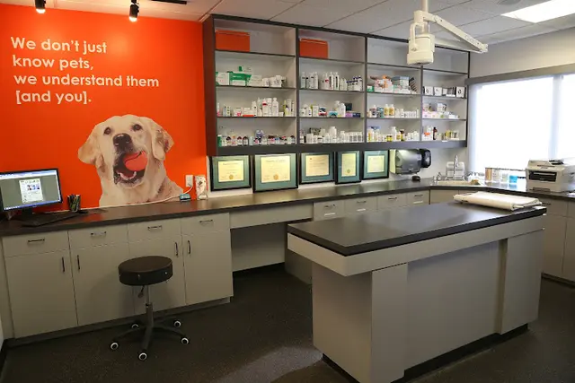 Dog day care center Dr. Boyd's Pet Resort (San Diego), A Thrive Pet Healthcare Partner Chula Vista