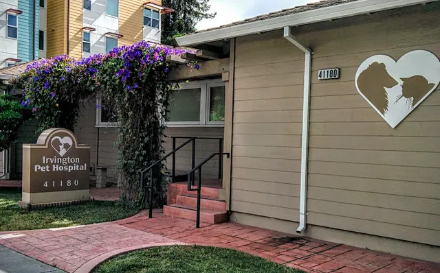 Dog breeder Irvington Pet Hospital Fremont