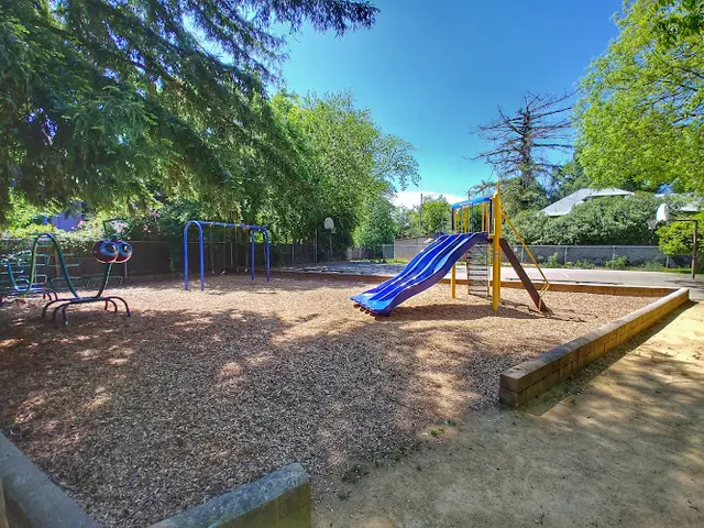 Dog Park Rotary Park Chico