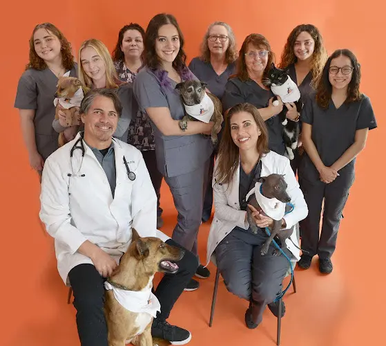 Pet vet East Chapman Veterinary Center Orange