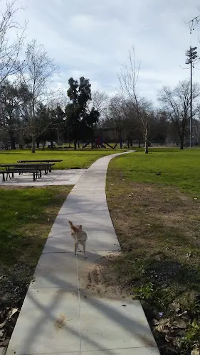 Dog Park Del Paso Regional Park Sacramento