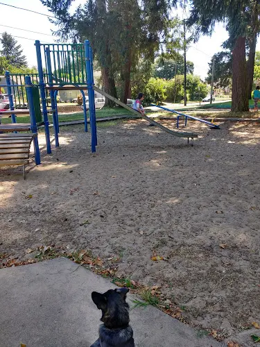 Dog Park Sladden Park Eugene