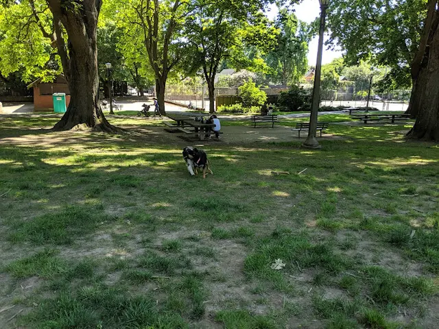 Dog Park Irving Park Gresham