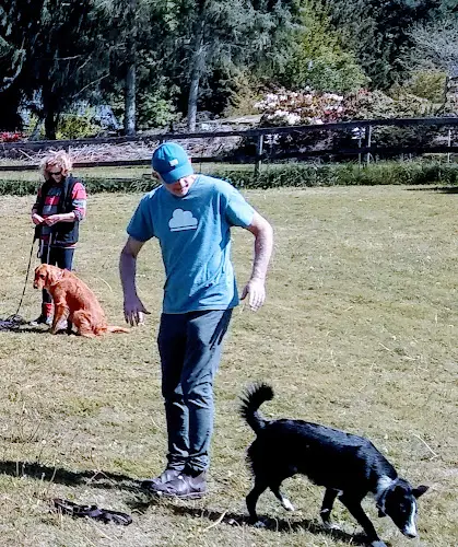 Dog trainer Canine Behavior Center Inc Seattle