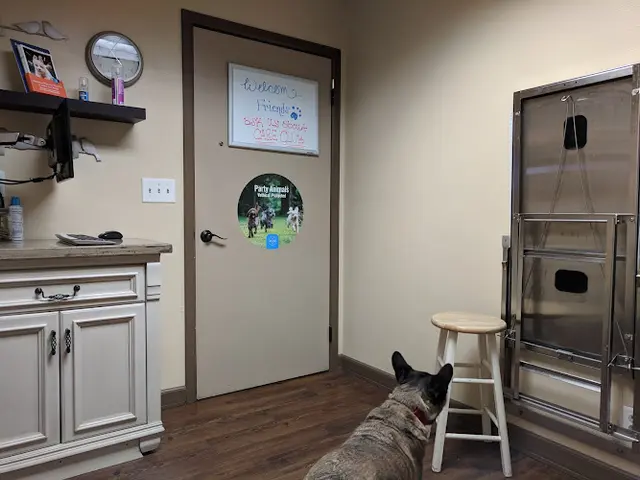 Pet vet VCA Sno-Wood Animal Hospital Kirkland