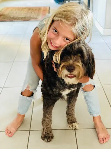 Dog breeder West Coast Portuguese Water Dogs Murrieta