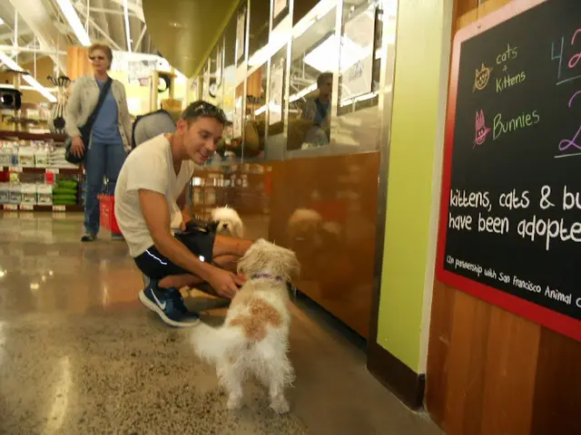 Pet vet Pet Food Express San Francisco