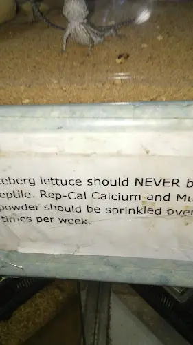 Rescue & Shelter Hacienda Aquatics West Covina