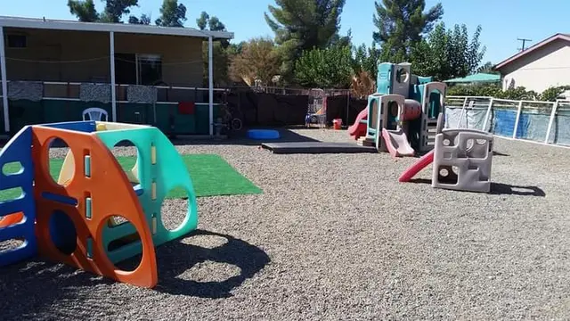 Dog day care center Happy Puppy Paradise Riverside