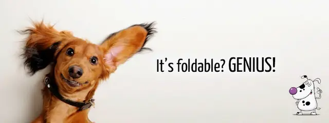 Pet boarding service Smart Dog USA Santa Ana