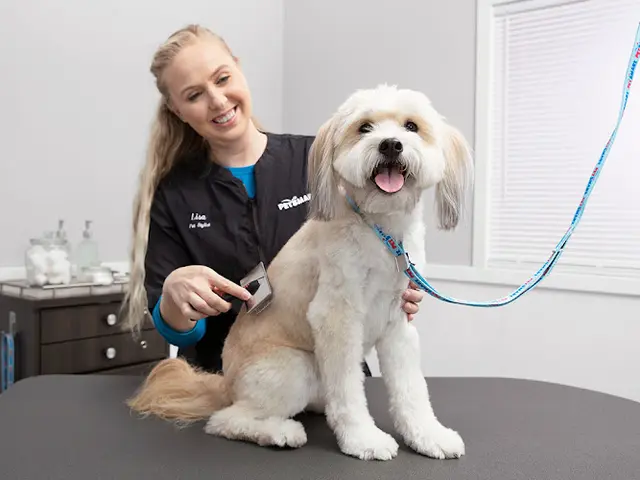 Pet vet PetSmart Anchorage