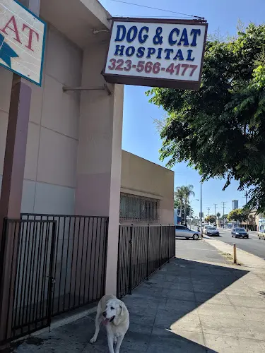 Pet vet Lynwood Dog and Cat Hospital Carson