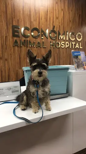 Pet vet Economico Animal Hospital Carson