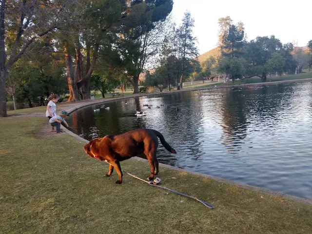 Dog Park Simi Hills Neighborhood Park Simi Valley
