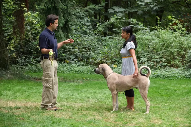 Dog trainer Seattle Family Dog Training Seattle