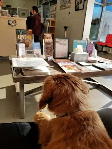 Pet vet Back Bay Veterinary Hospital Orange