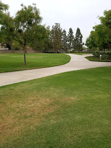 Dog Park San Mateo Park Irvine