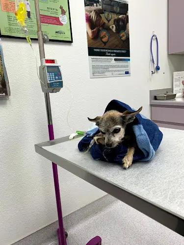 Pet vet Eastlake Village Vet Clinic Chula Vista