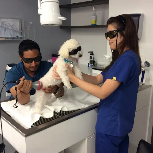 Pet vet Los Coyotes Pet Hospital Carson