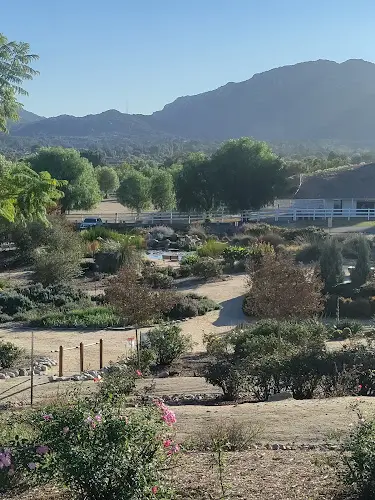 Dog Park Rose Haven Heritage Garden Temecula