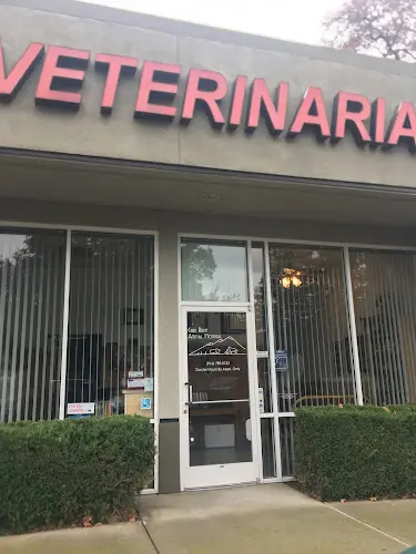 Pet vet Cirby Ridge Animal Hospital Roseville