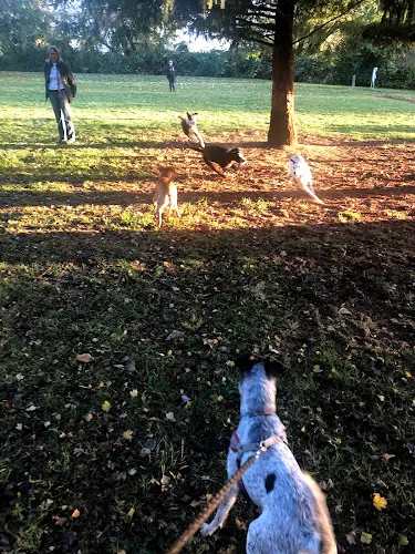 Dog Park Cherry Park Gresham