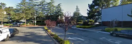 Dog day care center Good Dog! Dog Walkers & Pet Sitters San Mateo