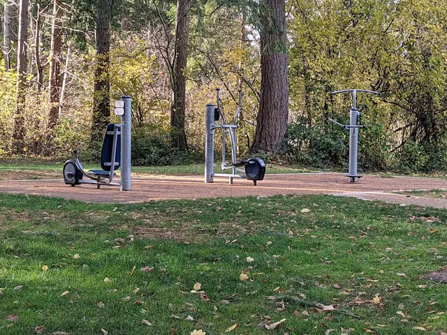 Dog Park Maplewood Park Renton