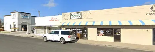 Dog Grooming The Four Paw Spa Dog Grooming Visalia