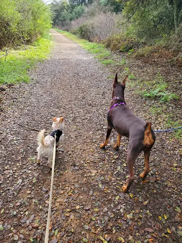 Dog Park Leona Canyon Trail Head Oakland