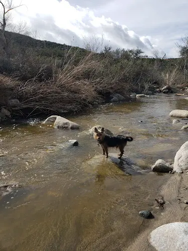 Dog Park Dripping Springs Trailhead Temecula