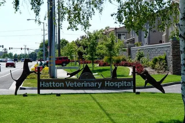 Dog trainer Hatton Veterinary Hospital Elk Grove