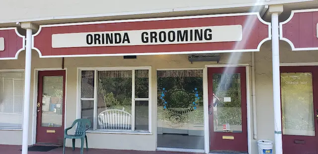 Dog Grooming Orinda Grooming Vallejo