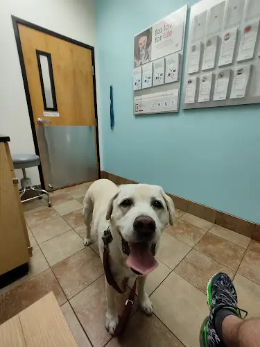 Pet vet Banfield Pet Hospital El Cajon
