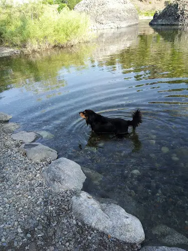 Dog Park The Islands Trail Head Spokane