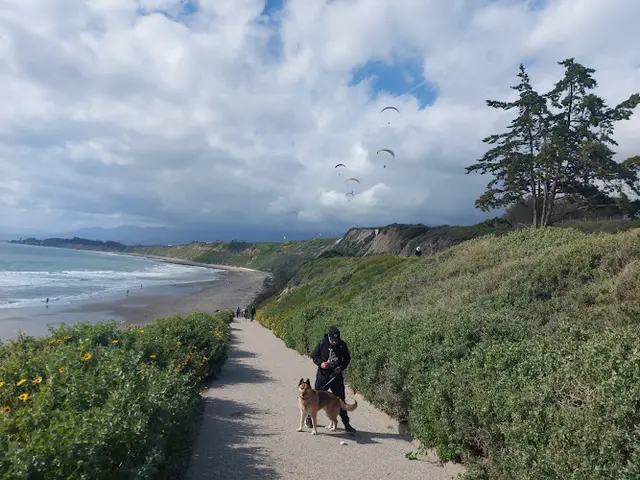 Dog Park Rincon Beach County Park Ventura