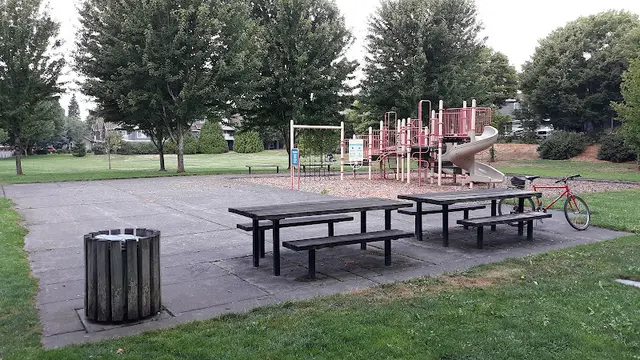 Dog Park Ellsworth Springs Park Vancouver