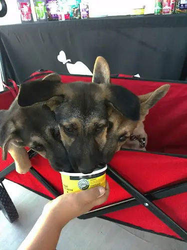 Rescue & Shelter PetSmart Stockton