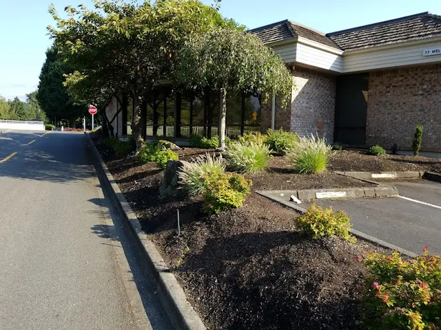 Dog day care center Northwest Animal Eye Specialists - Renton Renton