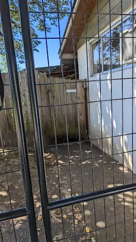 Dog day care center Holiday Kennels Eugene