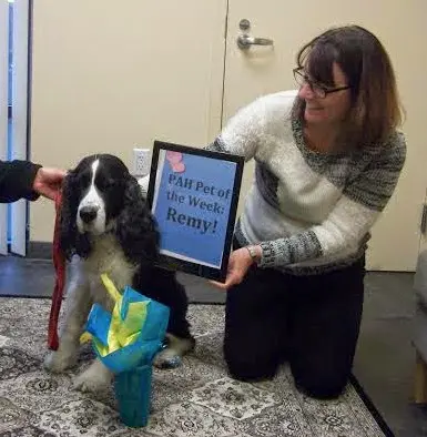 Pet vet Pacific Animal Hospital, A Thrive Pet Healthcare Partner Oceanside