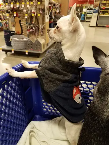 Dog breeder PetSmart Victorville