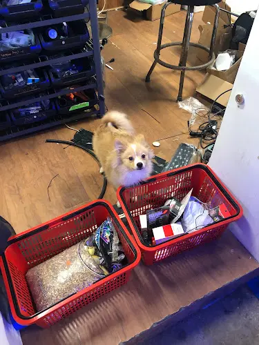 Dog breeder Tong's Tropical Fish & Pets Anaheim
