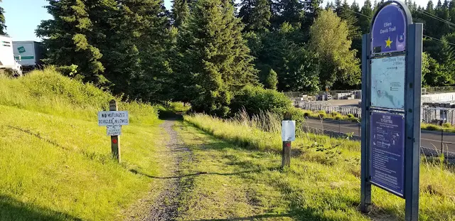 Dog Park Ellen Davis Trail Vancouver