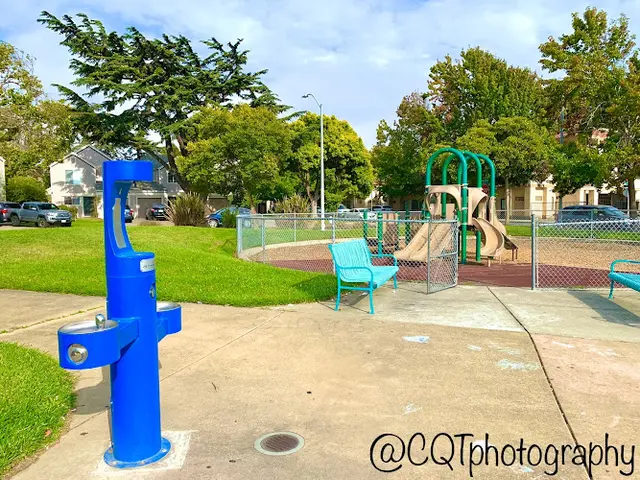 Dog Park Veterans Memorial Park Richmond