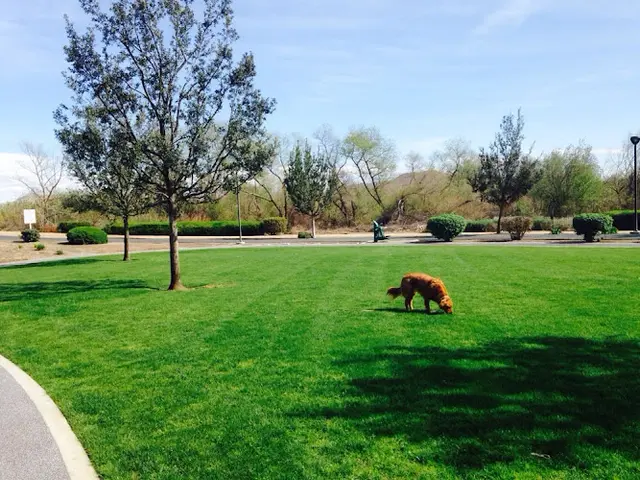 Dog Park Riverwalk Park Ontario