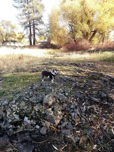 Dog Park Drumheller Springs Historical Park Spokane
